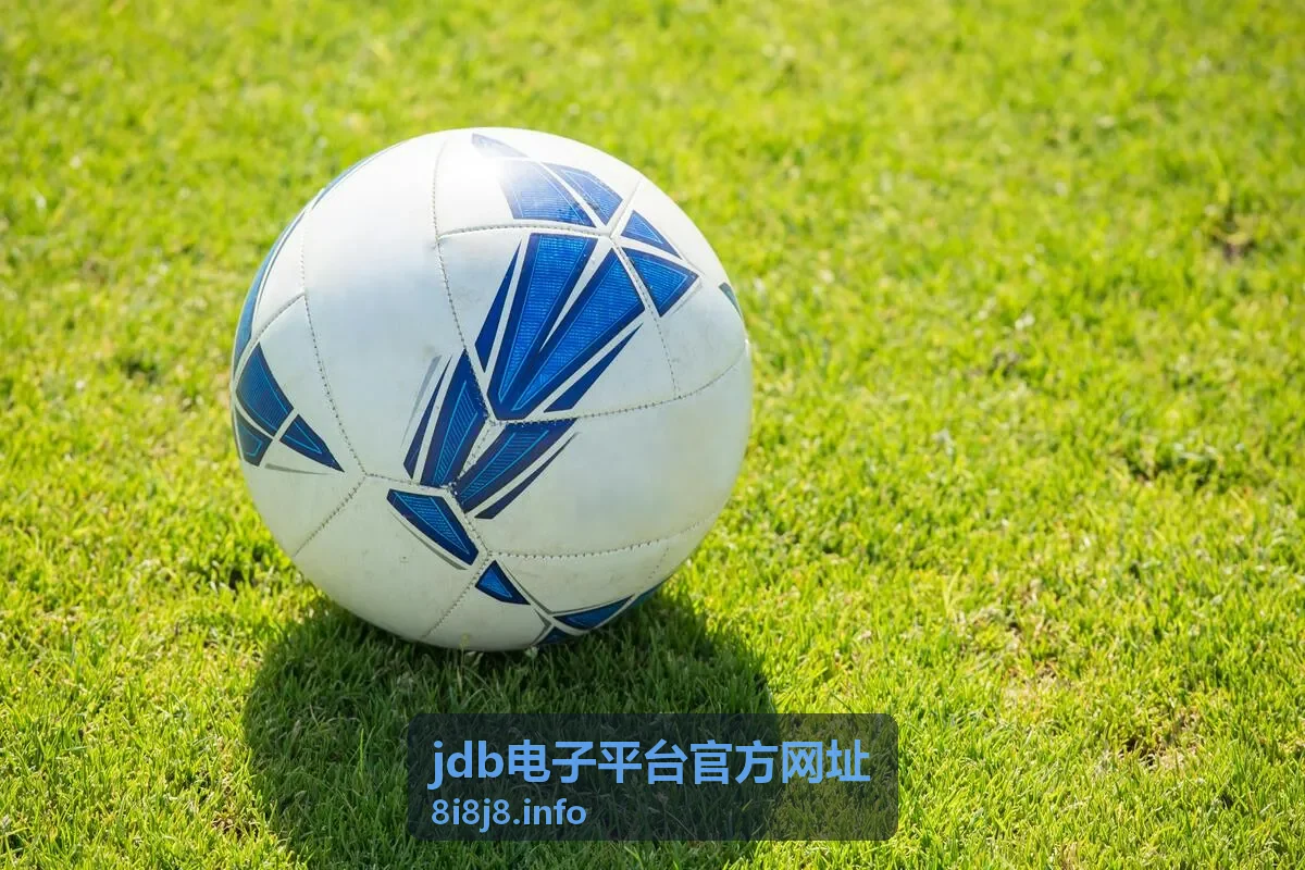 jdb电子平台官方网址平台入口总览